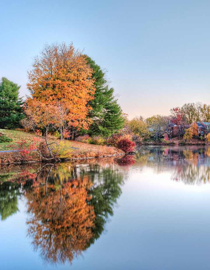 Why Fairfax County, Virginia Is a Great Place to Call Home