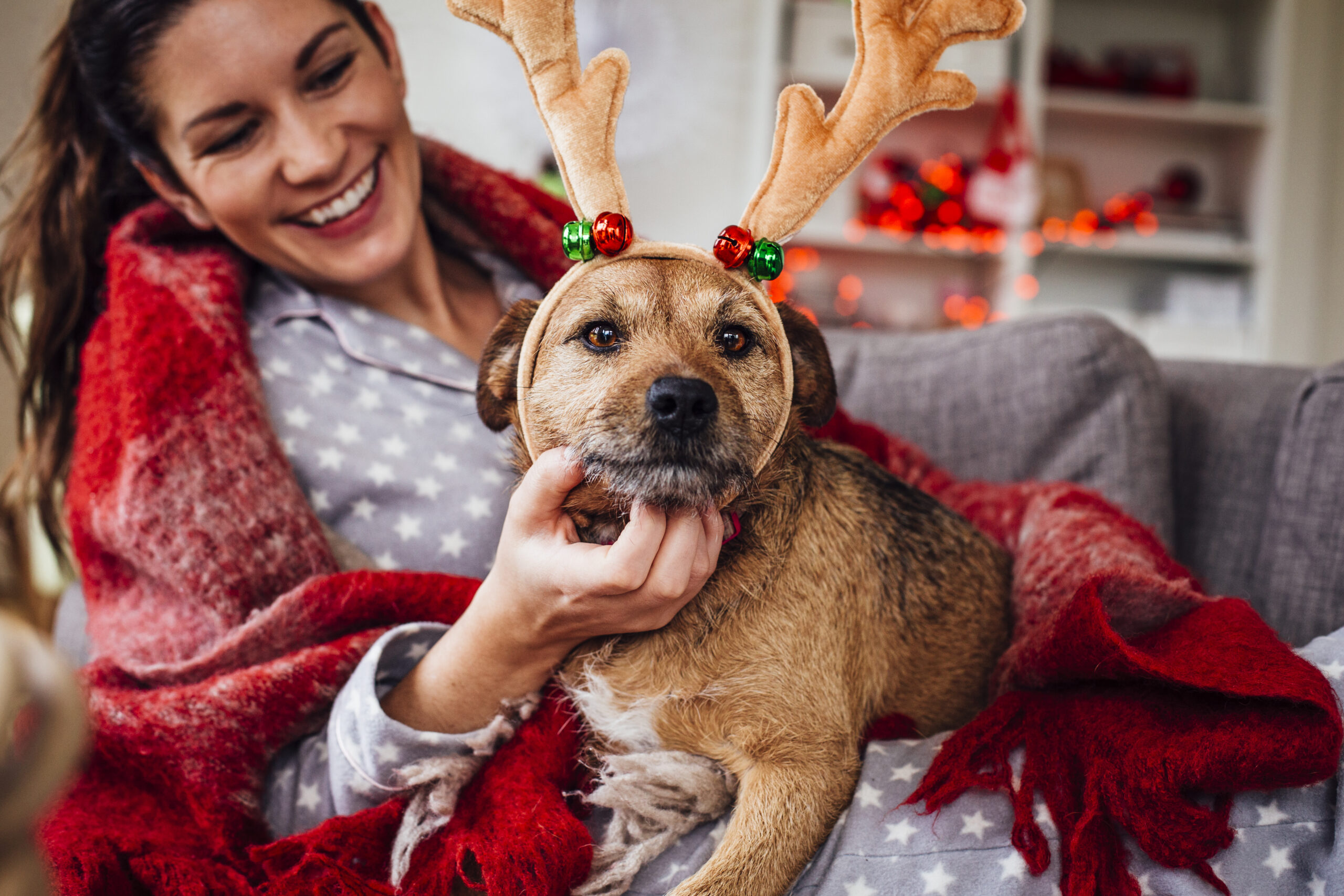 7 Holiday Gift Ideas for Your Pets: Welcoming Them to Your New Craftmark Home